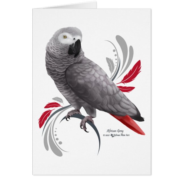 African Grey Parrot (Front)