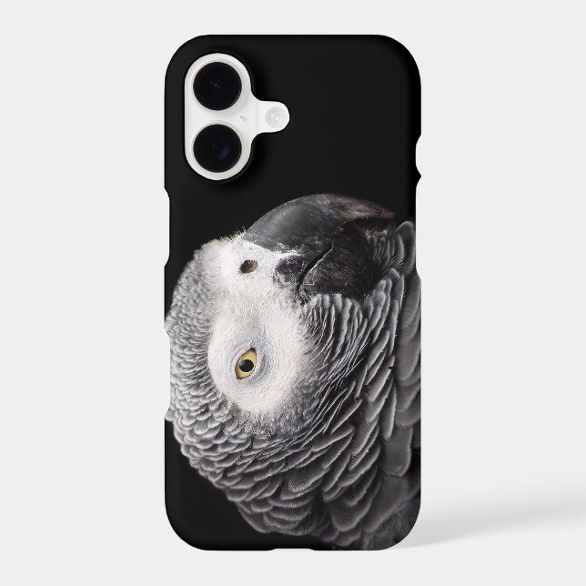 African Grey Parrot (Back)