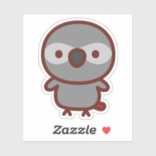 African Grey Parrot
