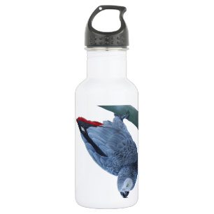 African grey parrot 532 ml water bottle