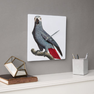 African Grey Parrot Art – Beautiful Exotic Bird Il Square Wall Clock