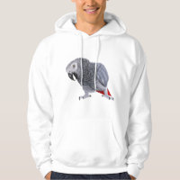 African Grey Parrot Bird