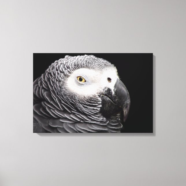 African Grey Parrot Canvas Print (Front)