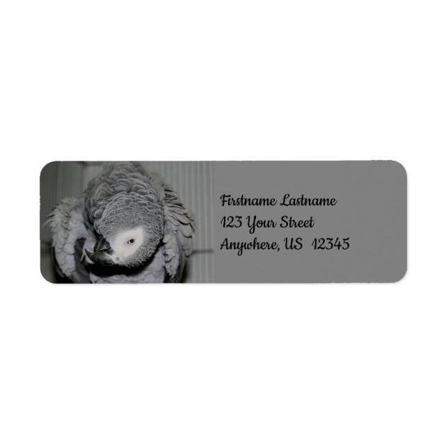African Grey Parrot Cute Bird #2 Address (Front)