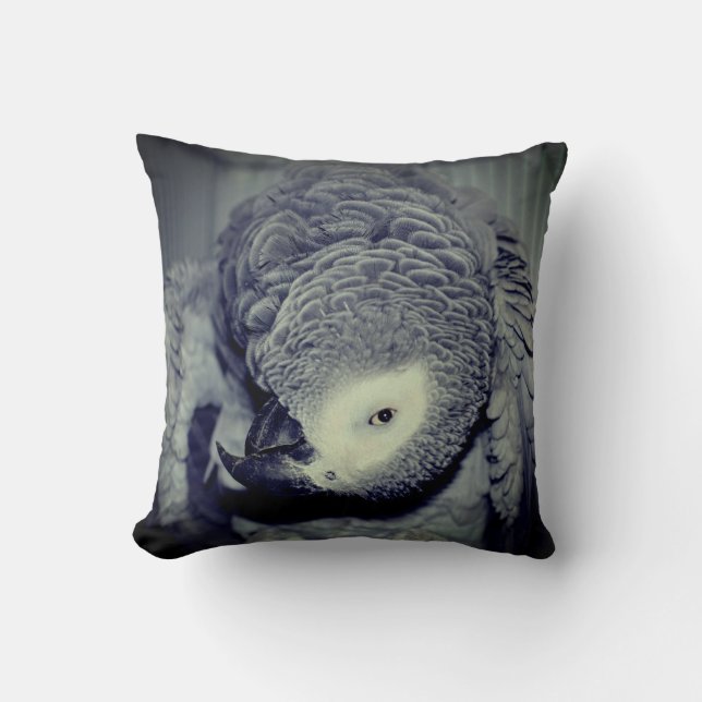 African Grey Parrot Cute Bird 2   Throw Pillow (Front)
