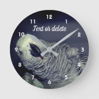 African Grey Parrot Cute Bird Personalized