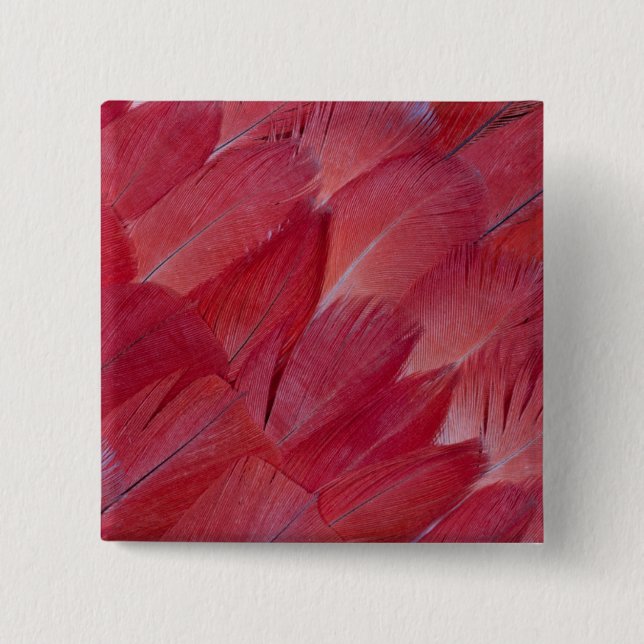 African Grey Parrot Feather Design 2 Inch Square Button (Front)