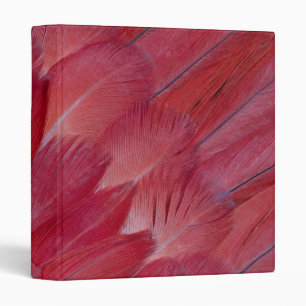 African Grey Parrot Feather Design Binder