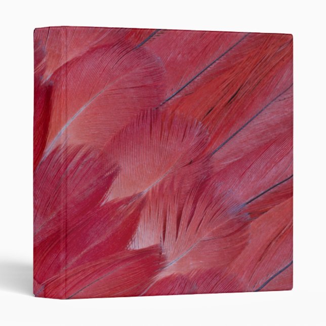 African Grey Parrot Feather Design Binder (Front/Spine)