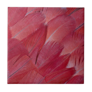 African Grey Parrot Feather Design Tile