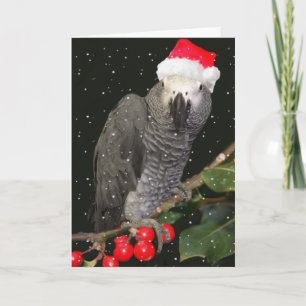 African Grey Parrot Holiday Season Card