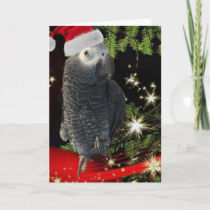 African Grey Parrot Holiday Season Card