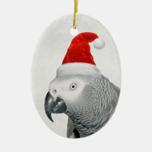 African Grey Parrot in a Santa Hat Ornament