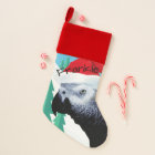 African Grey Parrot In Red Santa Hat Pet Bird Name