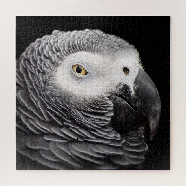 African Grey Parrot Jigsaw Puzzle (Horizontal)