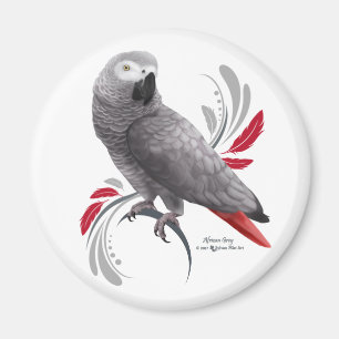 African Grey Parrot Magnet