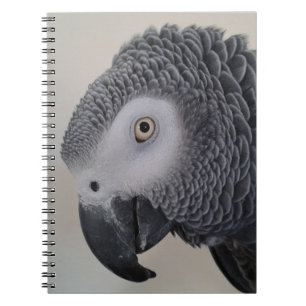 African Grey Parrot Notebook / Journal