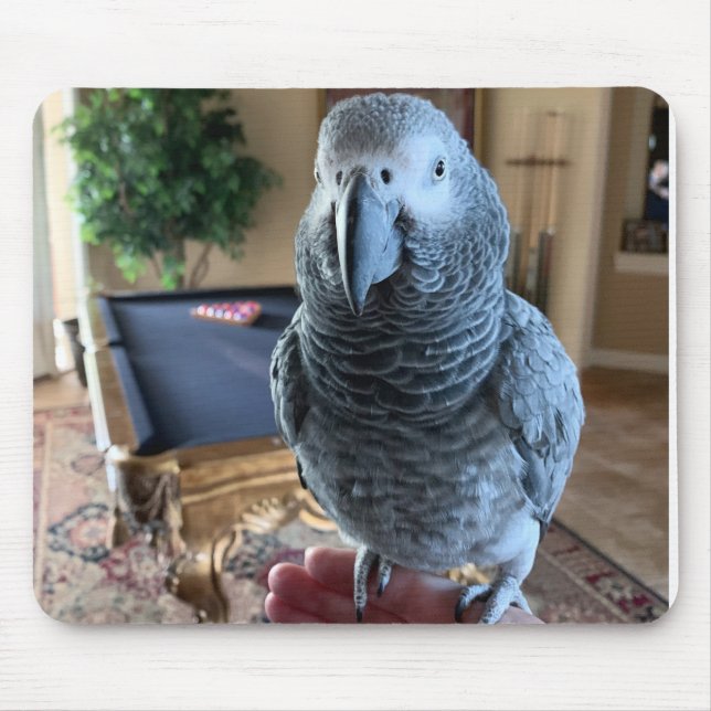 African Grey Parrot Pool table Mouse Pad (Front)