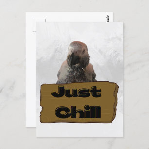 African grey parrot, Postcrossing Postcard