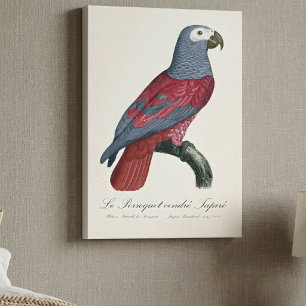 African Grey Parrot Red Factor Psittacus Erithacus Canvas Print