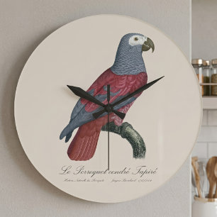 African Grey Parrot Red Factor Psittacus Erithacus Large Clock