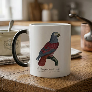 African Grey Parrot Red Factor Psittacus Erithacus Magic Mug
