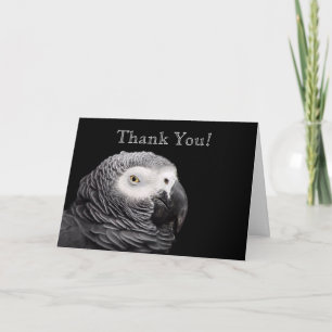 African Grey Parrot Thank You Card