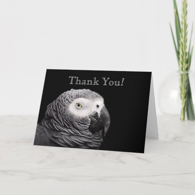 African Grey Parrot Thank You Card (Front)