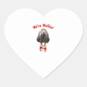 african grey parrot walking exercise tennis shoe heart sticker