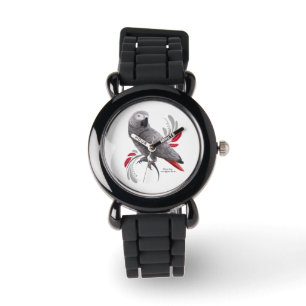 African Grey Parrot Watch