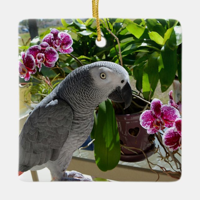 African Grey Parrot with Orchids Ceramic Ornament (Front)