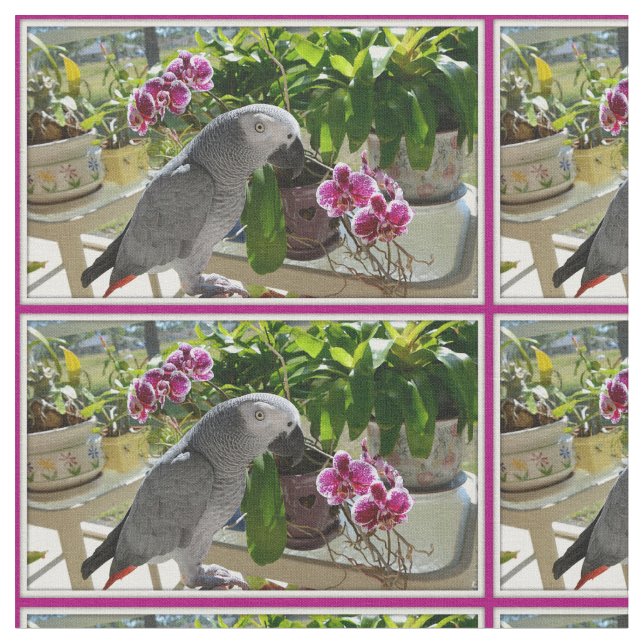 African Grey Parrot with Orchids Fabric (Close Up)