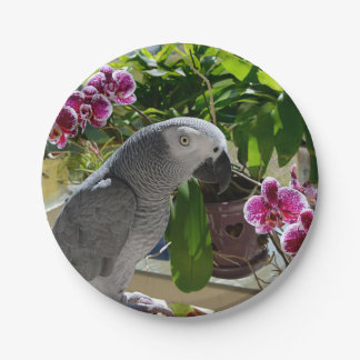 African Grey Parrot with Orchids Paper Plate