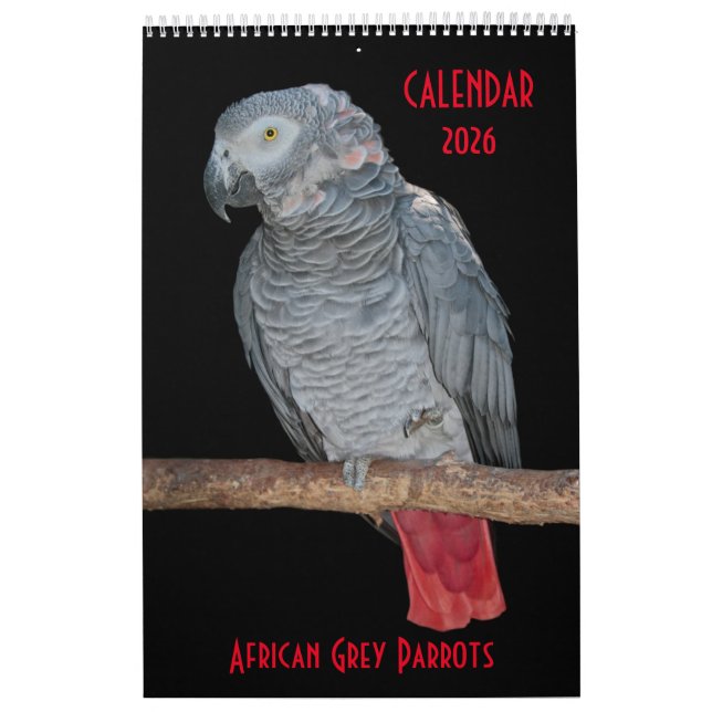 African Grey Parrots Calendar (Cover)