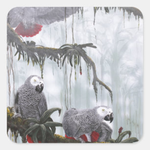 African Grey Parrots flying free Square Sticker