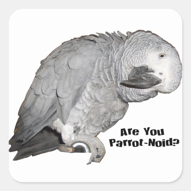 African Grey Stickers (Front)