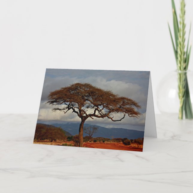 African landscape card (Front)