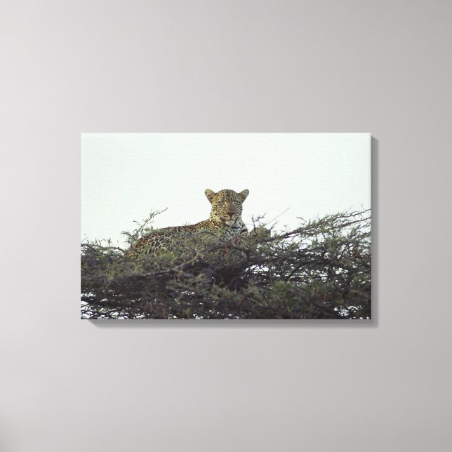 African leopard canvas print (Front)