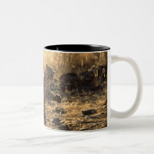 African leopard on hind legs , Namibia , Africa Two-Tone Coffee Mug