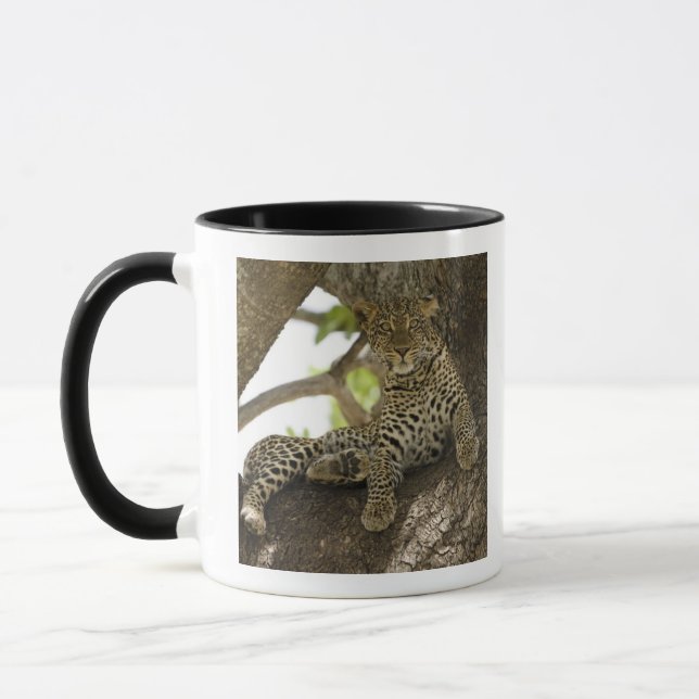 African Leopard, Panthera pardus Mug (Left)