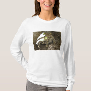African Leopard, Panthera pardus T-Shirt