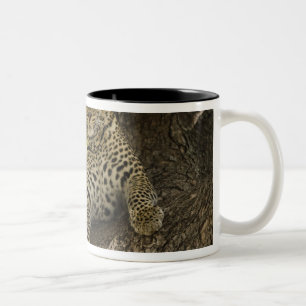 African Leopard, Panthera pardus Two-Tone Coffee Mug