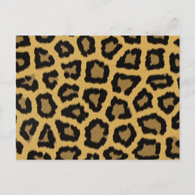 African Leopard Spots Postcard (Front)