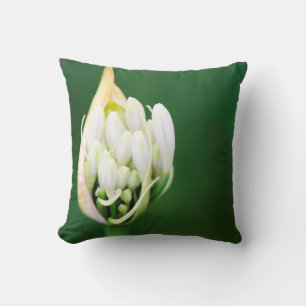 African Lily, Agapanthus Praecox, Cape Town Throw Pillow