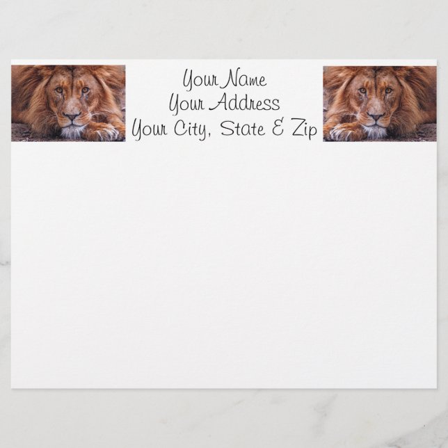 African Lion (Front)