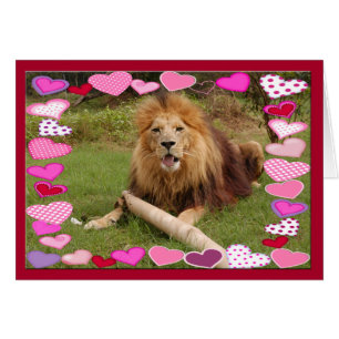 african-lion-00030-65x45