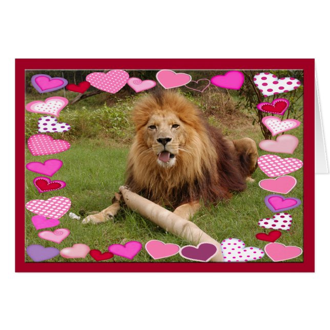 african-lion-00030-65x45 (Front Horizontal)