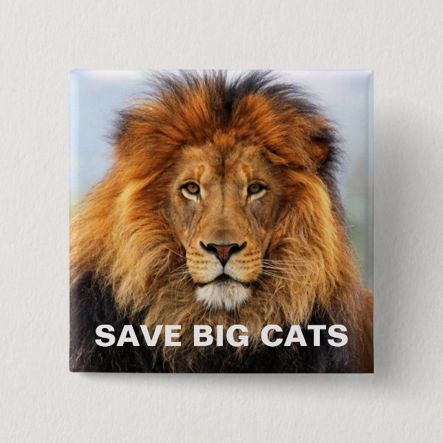 African Lion 1 2 Inch Square Button (Front)