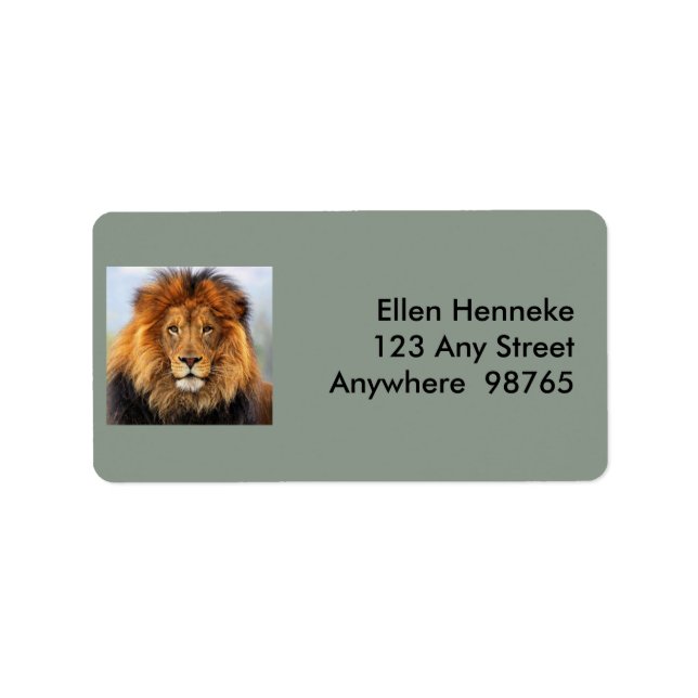 African Lion 1 Label (Front)