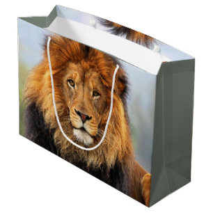 African Lion 1 Large Gift Bag